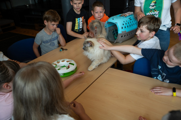 img 7961