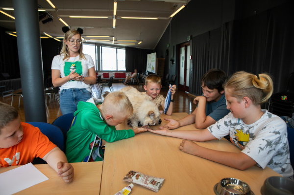 img 7984